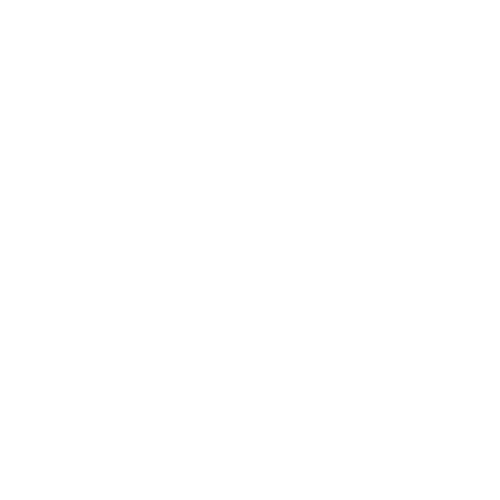 Transfermate - logo