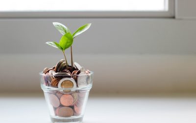 Why resetting your budget is essential to small business growth
