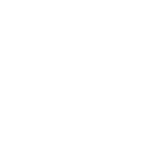 Chaser Logo White