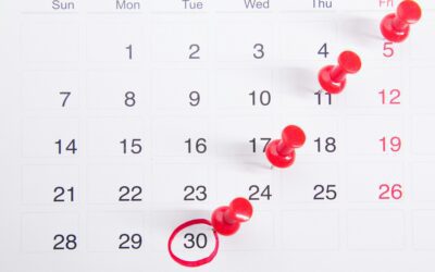 The Next 100 Days: How to Lead Your Business Like a President