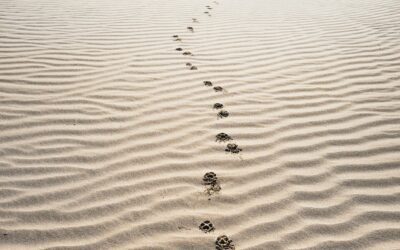 Absence is the real test of leadership