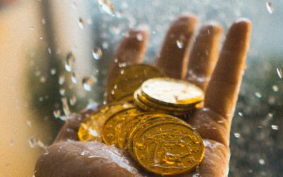 Stop Guessing About Cash